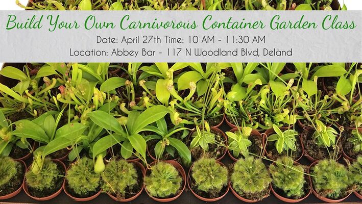 Build Your Own Carnivorous Container Garden Class